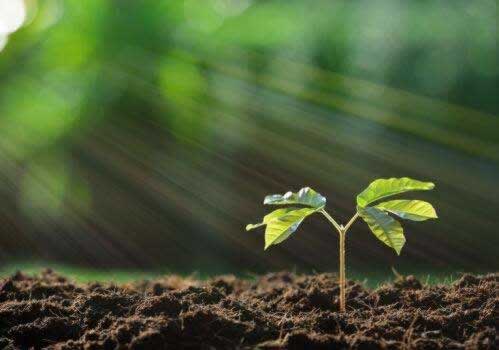 网络上取款异常提现失败