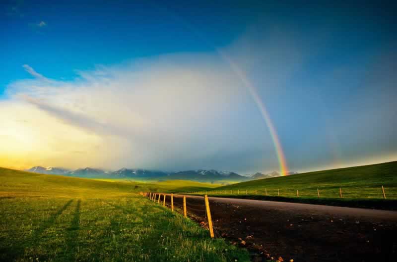 提现显示待审核是什么意思