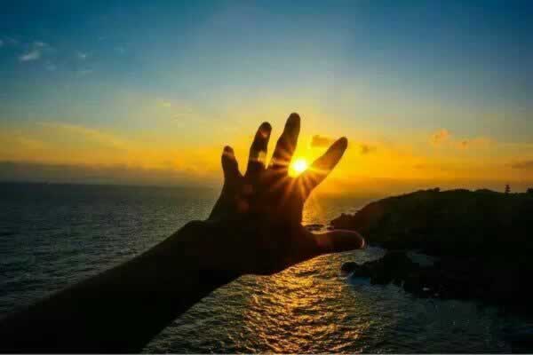 碰到黑网被黑了是可以挽回损失吗