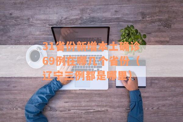 31省份新增本土确诊69例在哪几个省份（辽宁三例都是哪里）