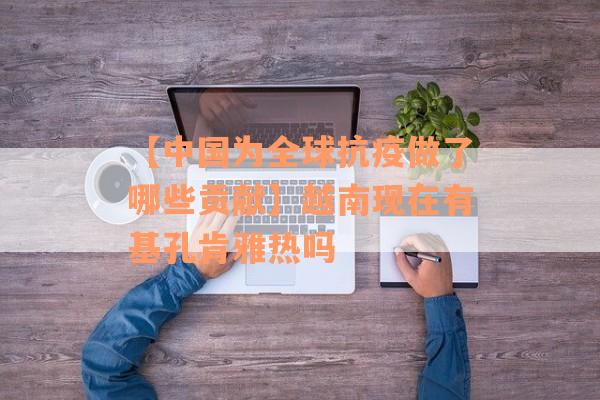 【中国为全球抗疫做了哪些贡献】越南现在有基孔肯雅热吗