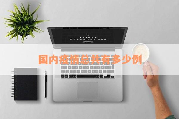 国内疫情总共有多少例