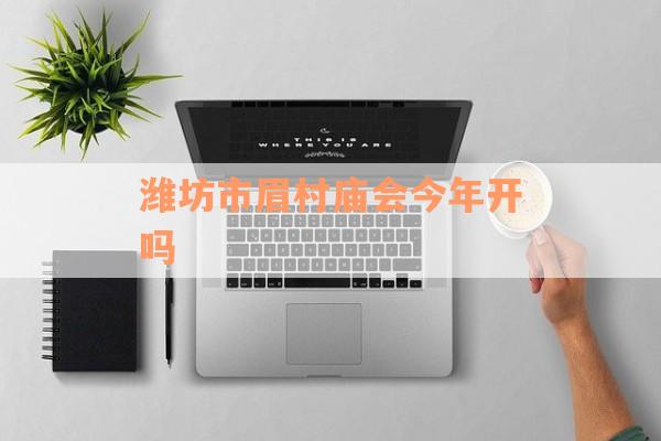 潍坊市眉村庙会今年开吗