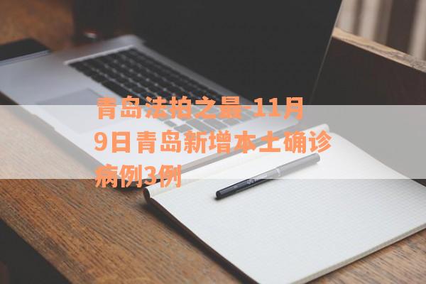 青岛法拍之最-11月9日青岛新增本土确诊病例3例