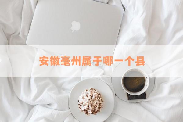 安徽毫州属于哪一个县