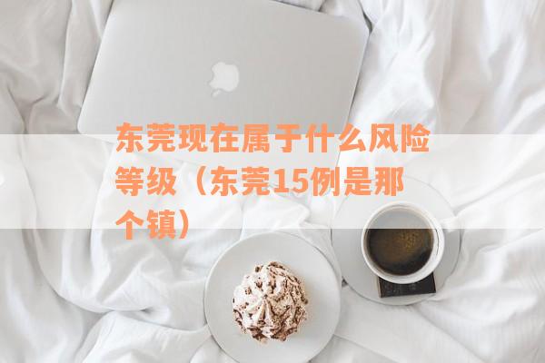 东莞现在属于什么风险等级（东莞15例是那个镇）
