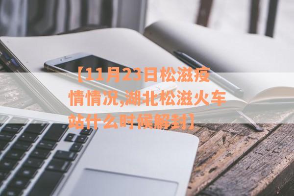 【11月23日松滋疫情情况,湖北松滋火车站什么时候解封】