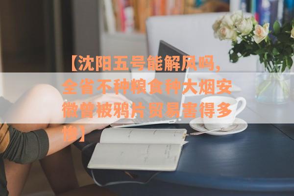 【沈阳五号能解风吗,全省不种粮食种大烟安徽曾被鸦片贸易害得多惨】