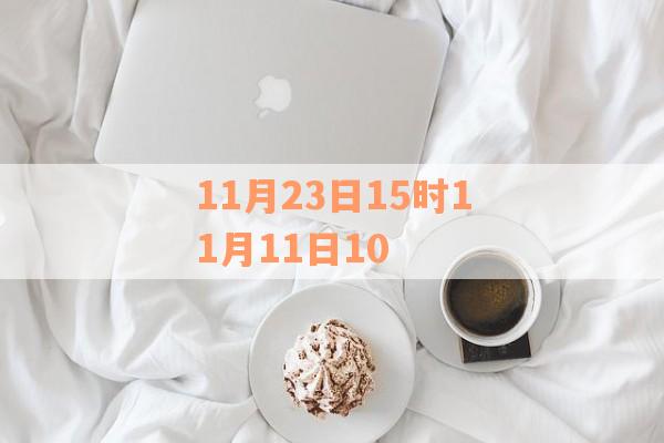 11月23日15时11月11日10