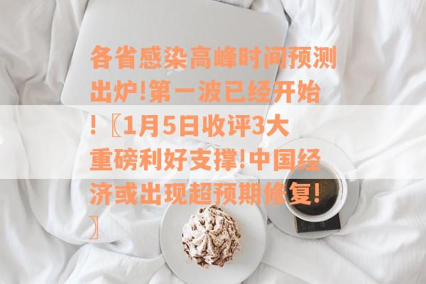 各省感染高峰时间预测出炉!第一波已经开始!〖1月5日收评3大重磅利好支撑!中国经济或出现超预期修复!〗