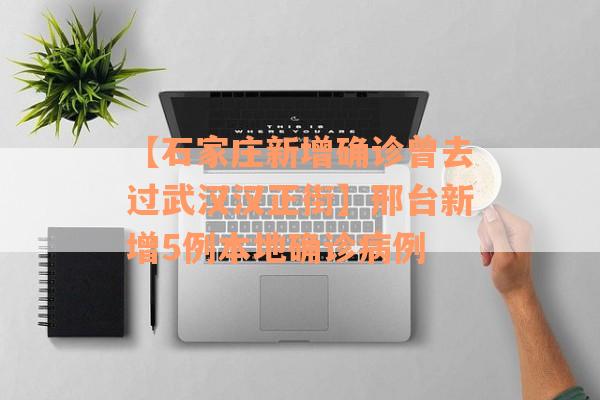 【石家庄新增确诊曾去过武汉汉正街】邢台新增5例本地确诊病例