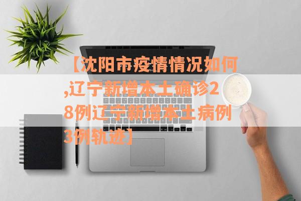 【沈阳市疫情情况如何,辽宁新增本土确诊28例辽宁新增本土病例3例轨迹】
