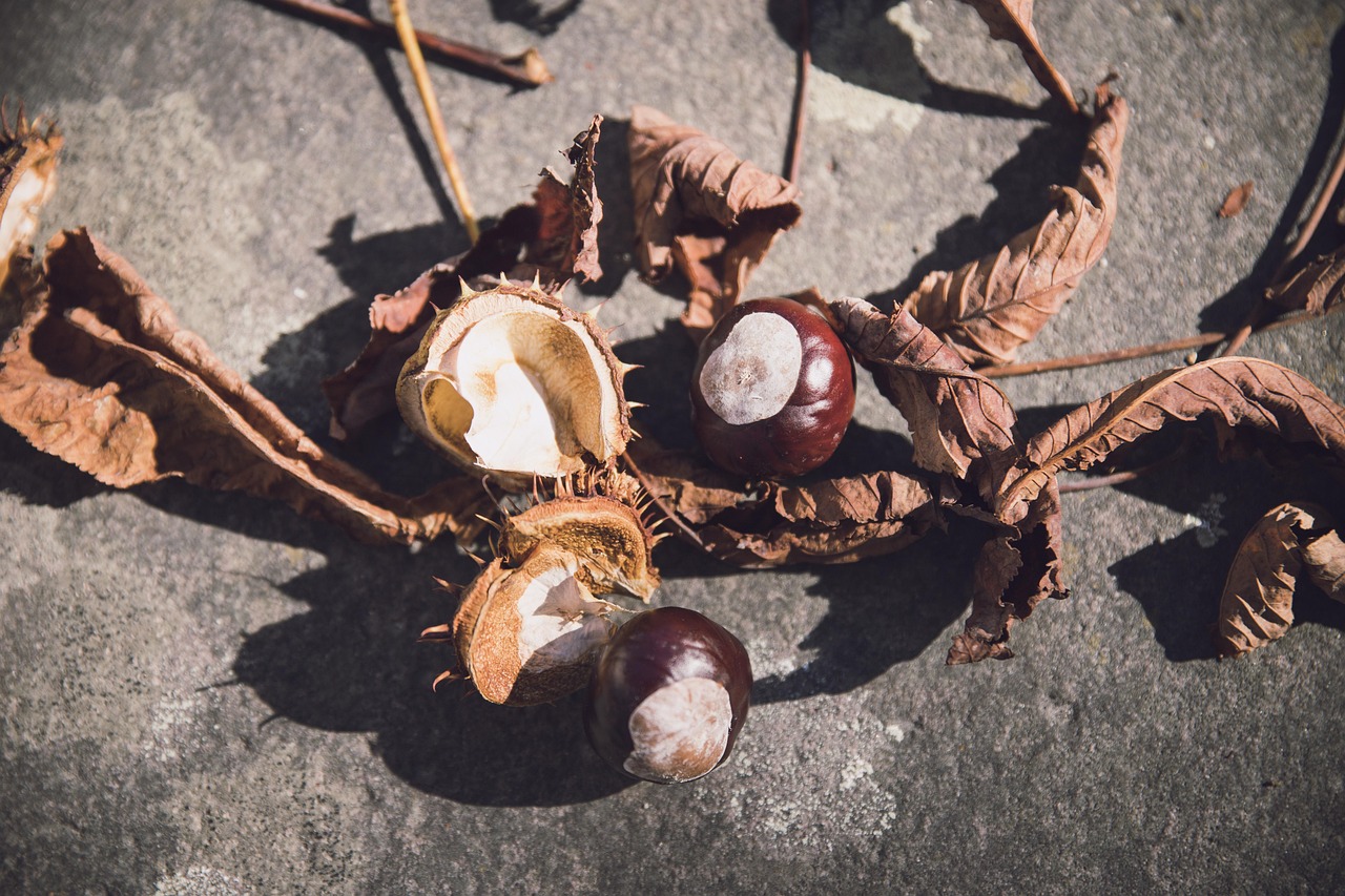 31省区市新增本土确诊112例·31省区市新增确诊101例 其中本土98例