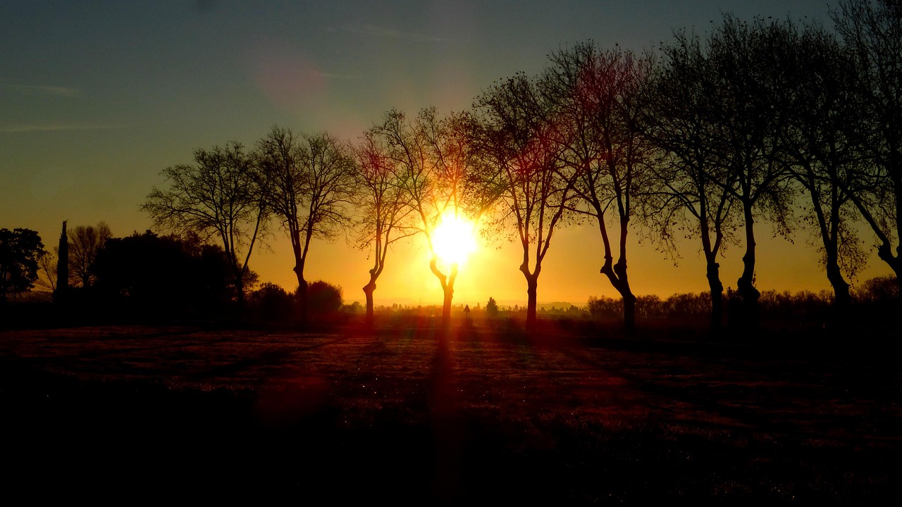 01060(港股异动  春节档开启电影新片预售 大麦娱乐)