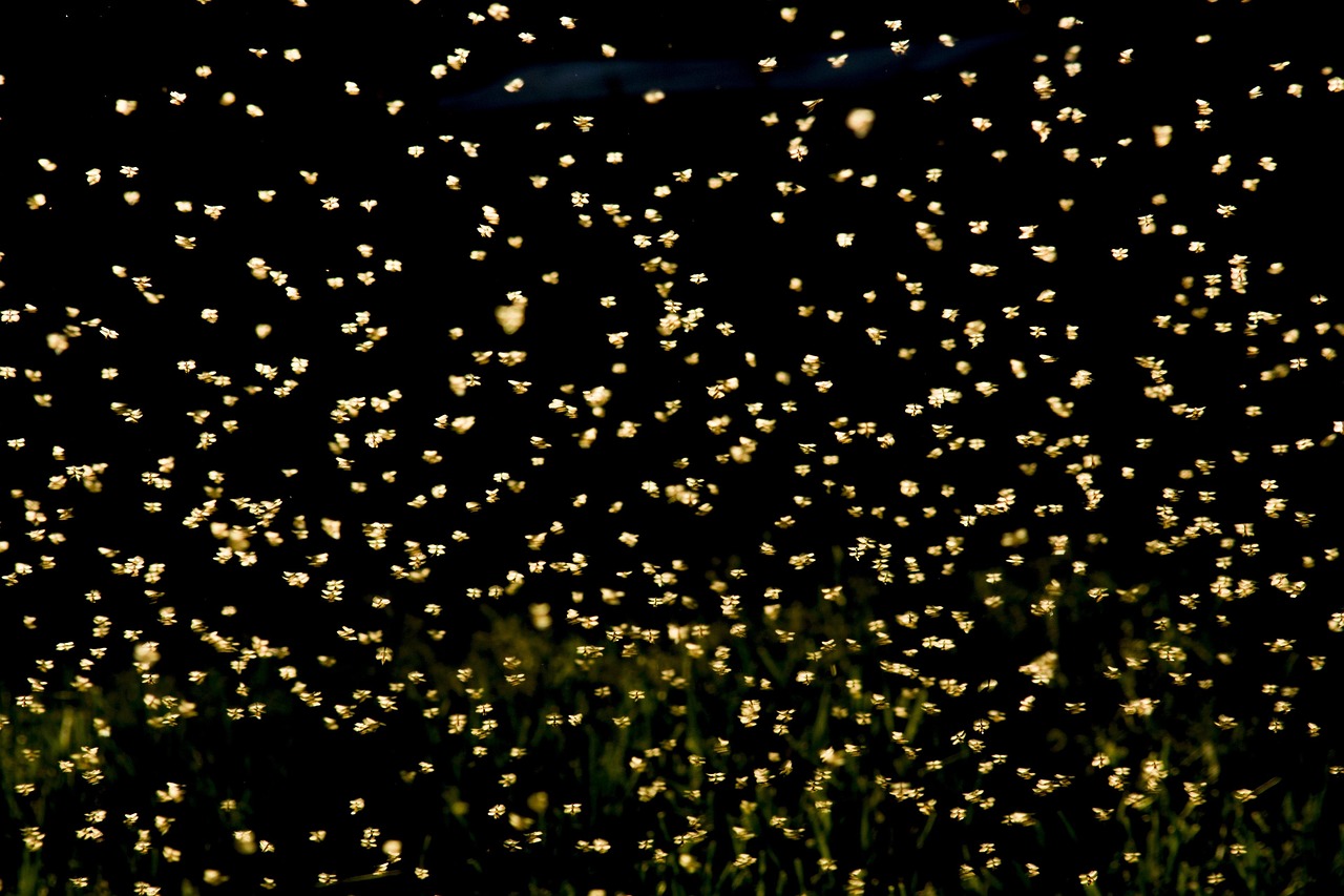 河北现有本土确诊309例,河北现有本土确诊病例行动轨迹