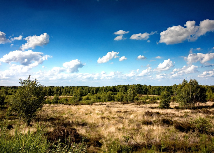 MINIMAX-WP盘中涨超14%再创新高 年初至今累涨超4.5倍 ◼️