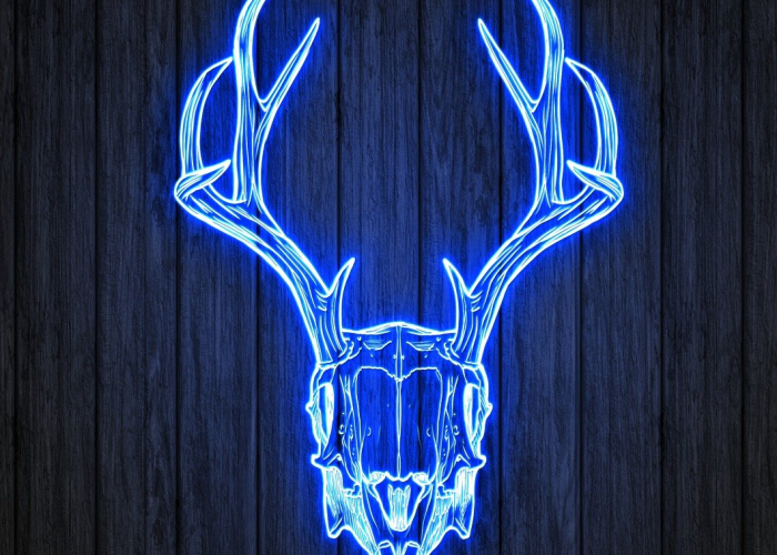 北京本土病例新增(本轮疫情北京已有30例本土感染者)