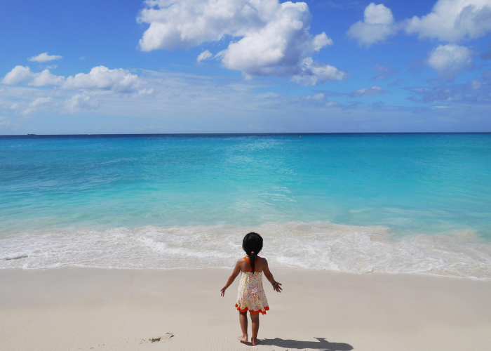 宜宾有一例病毒（四川宜宾一上午确诊250个官方辟谣—）