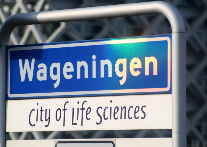 山东新增8例本土确诊病例 → 山东新增8例本土确诊病例详情 🌨️