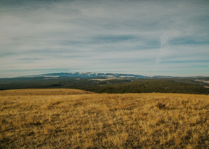 呼和浩特报告2例本土确诊（呼和浩特发现3例核酸检测阳性人员—）