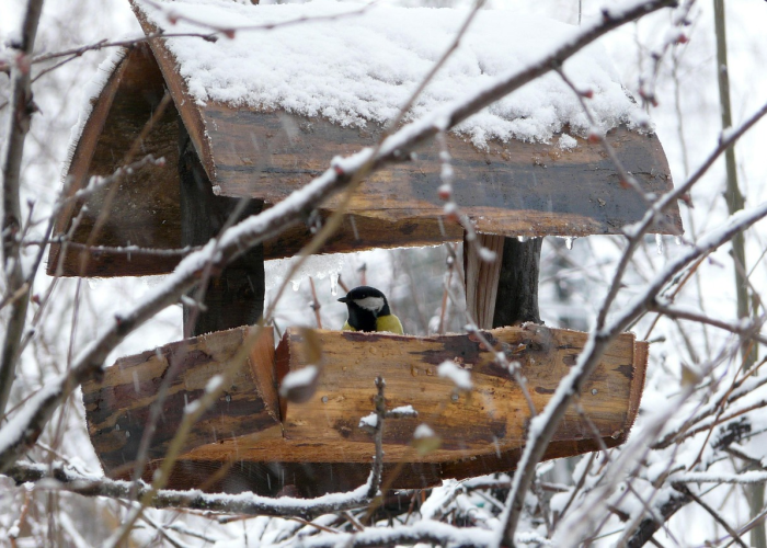 报告：企业招聘增速最快的技能榜单出炉 ✨