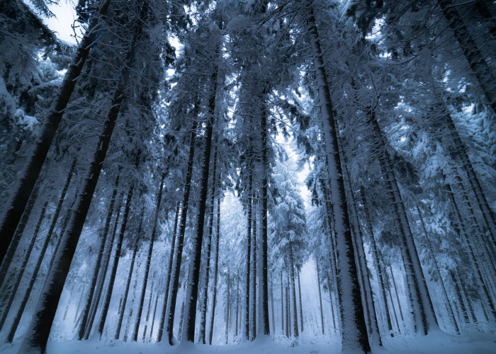 哈尔滨核酸检测方舱(哈尔滨为方舱医院建设招标)