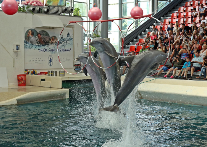 魔神刷图加点顺序(魔神刷图加点—) 魔神刷图加点顺序(魔神刷图加点—)