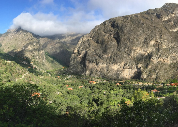 全国最新疫情十大城市(最新疫情城市排名)