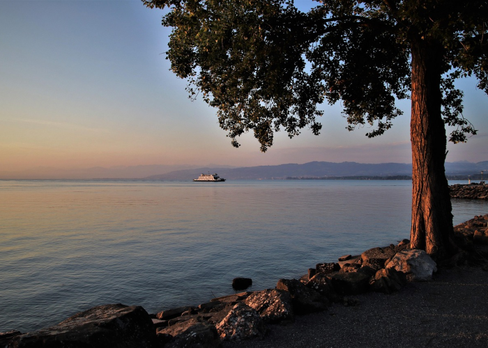 中国疫情二次爆发很有可能：中国疫情二次爆发将是大概率事件