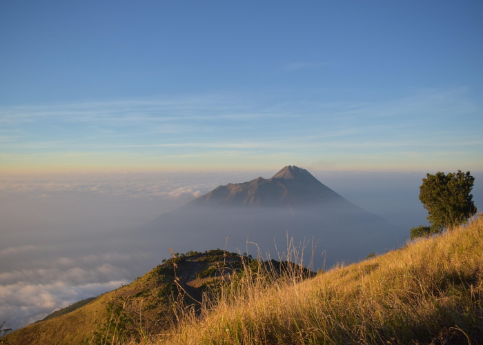 浙江新增本土阳性21例,浙江新增一列本土病例