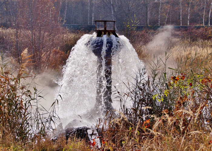 包含上海新增18例境外输入病例的词条