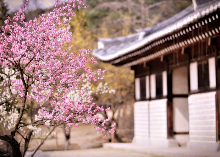 美股异动丨Rivian大涨超21% Q4业绩超预期 预计2026年交付量将激增53%