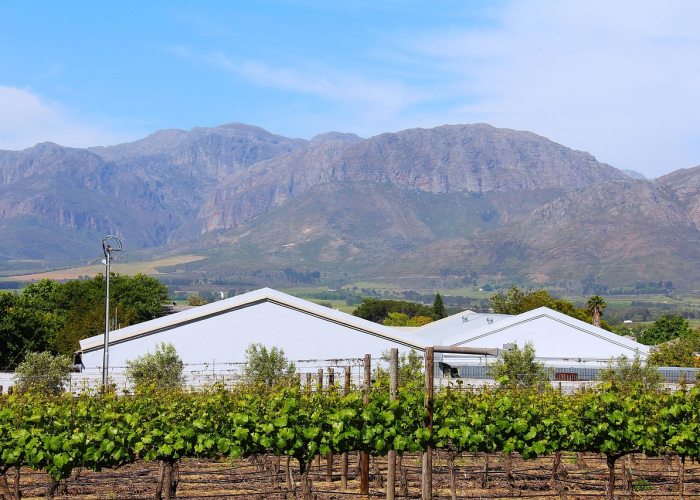 辽宁新增10例本土确诊辽宁新增1例本土确诊轨迹