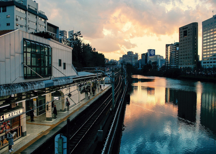 ✔️ 唐山什么时候解封›唐山什么时候解除响应