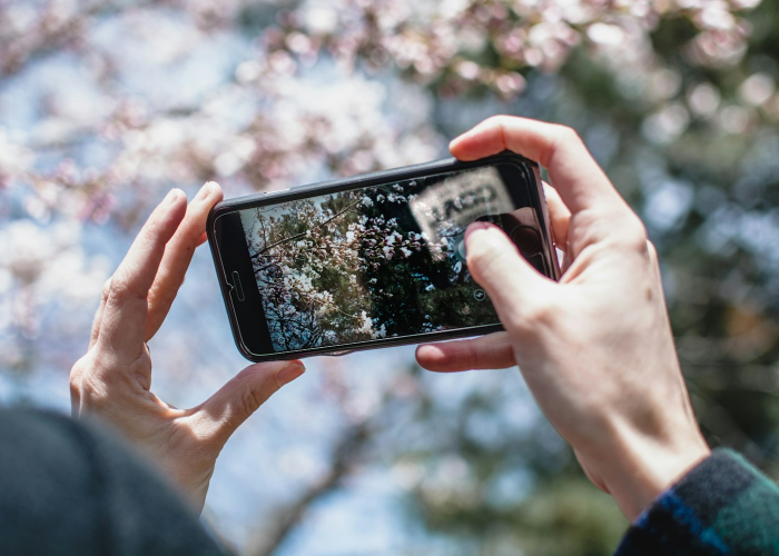 31省区市新增本土确诊11例在广东,31省份新增确诊16例 本土8例在广东