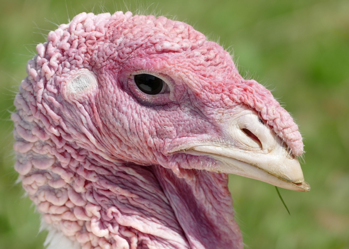 🌥️ 31省新增确诊62例31省新增确诊22例含本土12例