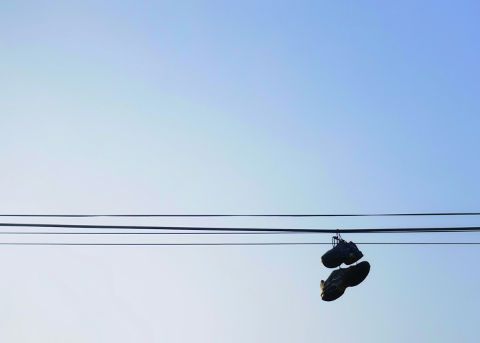 辽宁新增2例本土确诊病例辽宁新增2例本土确诊