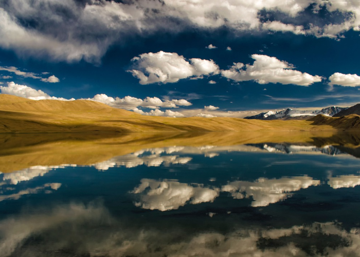 北京新增3例,北京新增3例本土确诊 均在大兴 ☑️