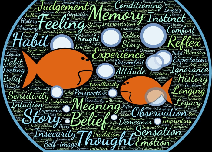 🌨️ 软银旗下PayPay赴美IPO更进一步