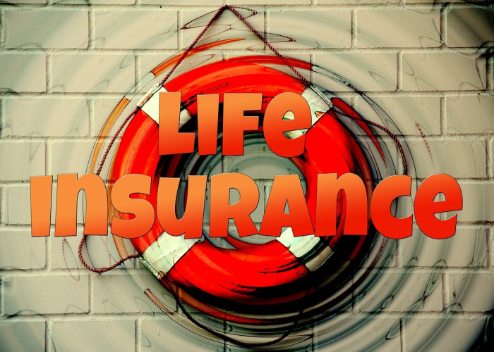 上海 新增 境外输入(上海新增境外输入确诊1例)