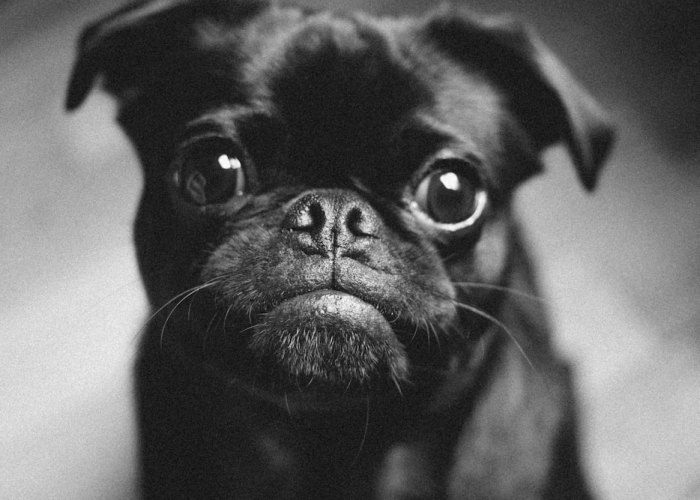 辽宁新增本土确诊详情(辽宁新增11例本土确诊病例)