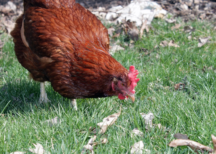🌦️ 新增33例确诊百色延期开学广西百色什么时候开学最新消息