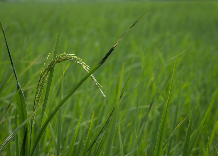 财经早报：稀土价格猛涨 公募基金规模逼近38万亿连续9个月创新高丨2026年1月29日