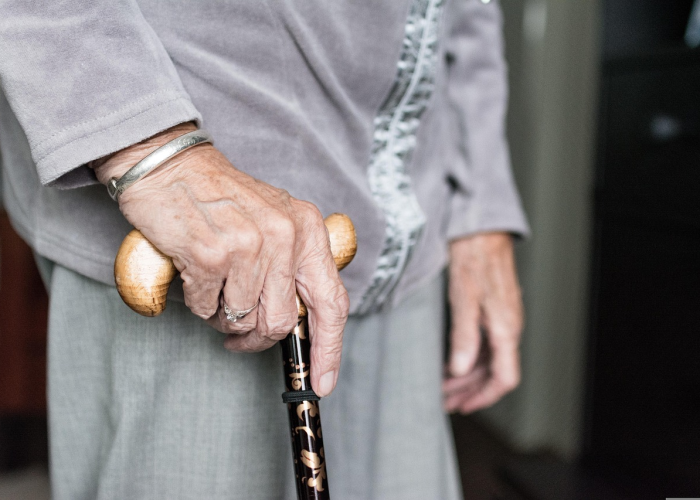 进京证新规：进京证新规定2025 🕚