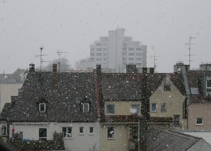 31省增本土确诊19例·31省增本土11例