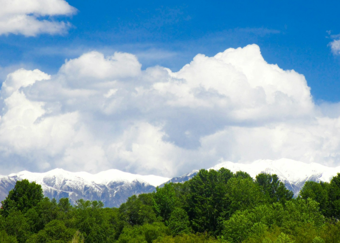 山东济宁疫情最新消息多少例了(山东济宁疫情最新消息封城)