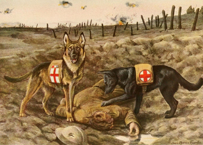 哈尔滨市南岗区全面恢复新冠疫苗接种工作：哈尔滨南岗区疫苗接种中心