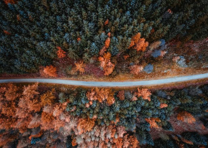 火炬之光2狂战士怎么加点 → 火炬之光2狂战士最强流派加点 ↙️