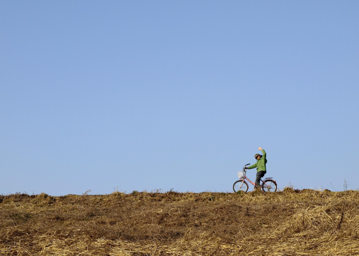 北京疫情风险级别(北京疫情风险等级)