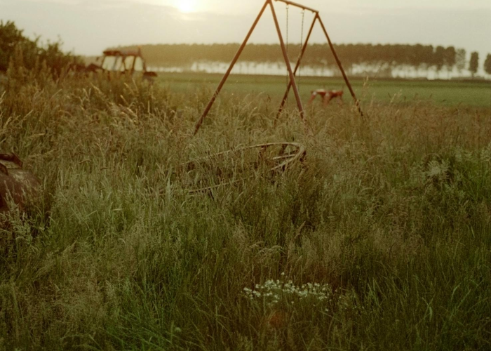 衡水疫情最新消息2021(衡水疫情最新消息今天)